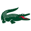 Dynamic Crocodile